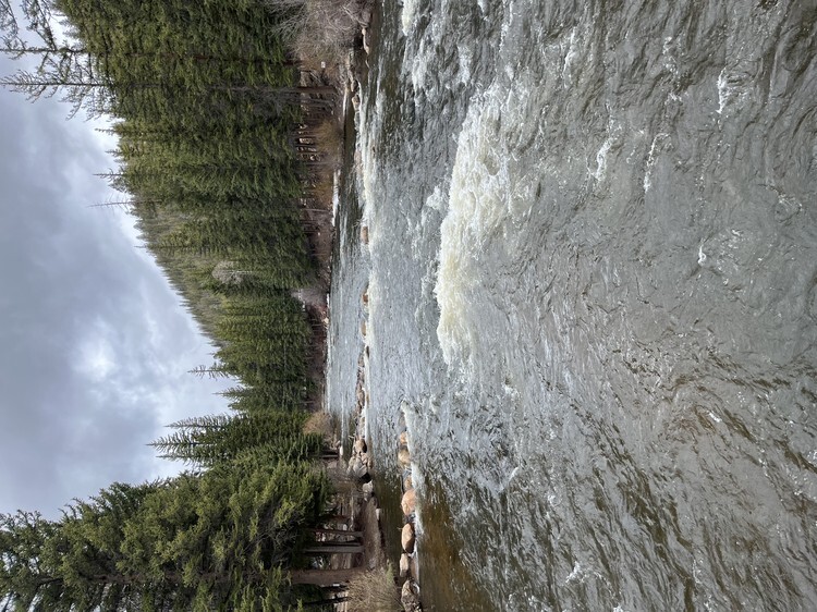 Taylor River fishing photo 12