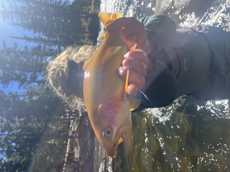 Taylor River fishing photo 18