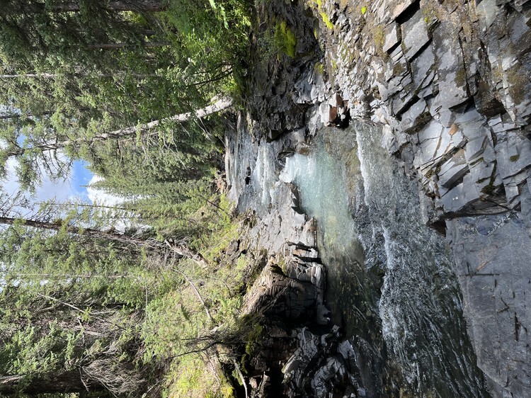 Taylor River fishing photo 7