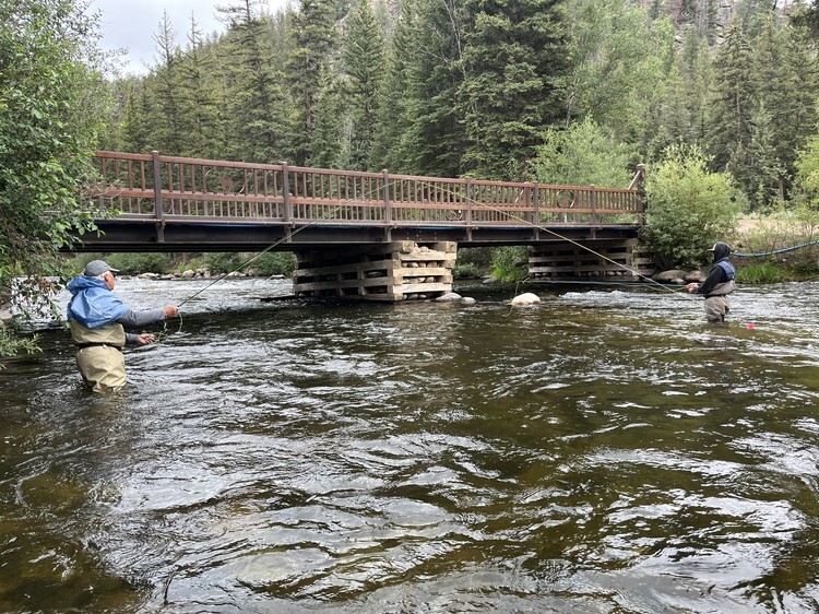 Taylor River fishing photo 8